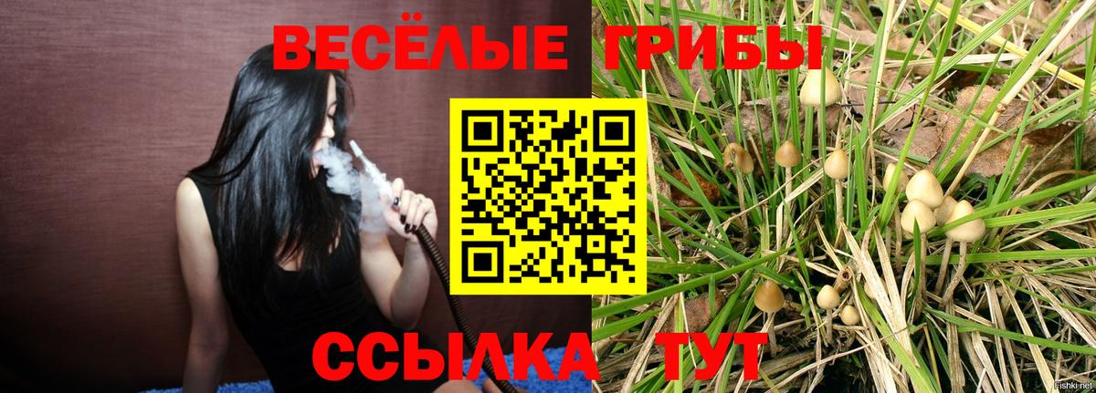 Галлюциногенные грибы Cubensis  купить  сайты  Рузаевка  Галлюциногенные грибы Psilocybe  Вход с VPN 