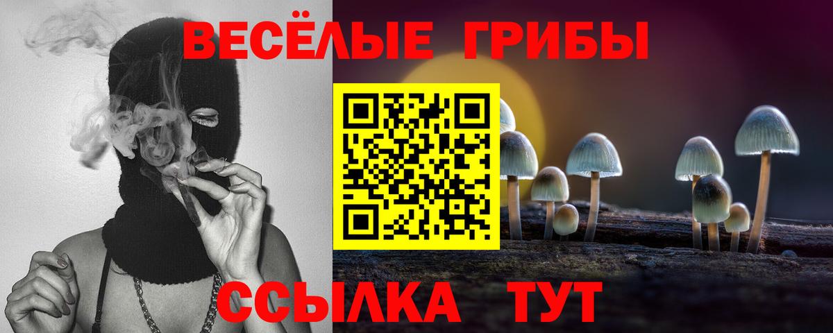Галлюциногенные грибы прущие грибы Рузаевка